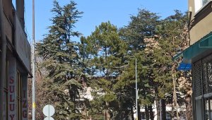 Elektrik tellerinde mahsur kalan kedinin imdadına vatandaşlar yetişti