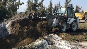 Enkaz altında telef olan hayvanlar hastalık riskine karşı gömüldü