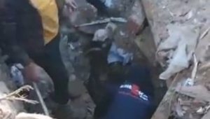 Enkaz altından çıkartılan 14 günlük buzağı koruma altına alındı
