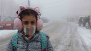 Erzincan'da sis, kar ve soğuk hava etkili oldu