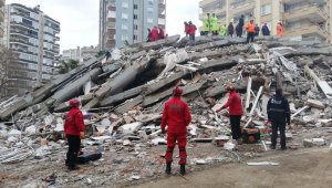 Eskişehir DAK ekibi 4'üncü günde hamile kediyi enkazdan kurtardı