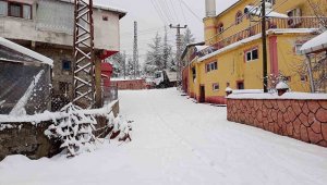 Etkisini sürdüren kar 17 köy yolunu kapadı