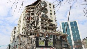 Galeria İş Merkezinden kurtarılan 7 kediden 6'sı sahibine teslim edildi