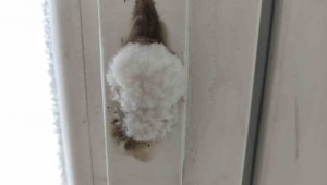 Göle'de dondurucu soğuklar hüküm sürüyor, kapı kilitleri bile buz tuttu