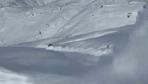 Hakkari'de 113 iş makinesiyle yollar tek tek açıldı