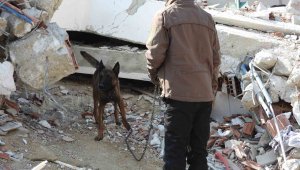 Hasta olmasına rağmen "Tetik" hassas burnu ile 33 kişinin kurtarılmasını sağladı