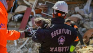 Hatay'da enkaz altında kalan kedi 121 saat sonra kurtarıldı