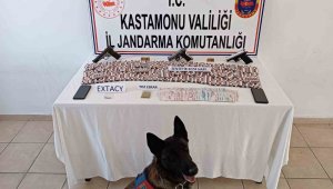 İstanbul'dan Kastamonu'ya uyuşturucu getiren iki şüpheli yakalandı