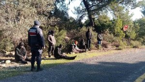 Jandarma düzensiz göçmenleri sazlık alanda yakaladı
