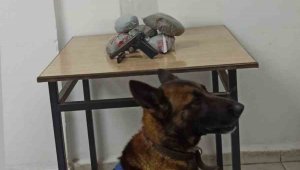 Jandarmadan uyuşturucu operasyonu: 1 gözaltı