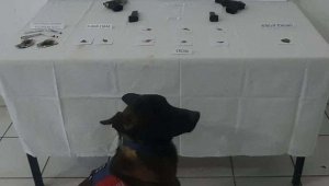 Kırklareli'nde uyuşturucu operasyonu: 1 şüpheli gözaltına alındı