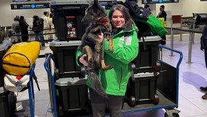 Macaristan Hükümet Sözcüsü Kovacs'ın kızı Türkiye'deki arama-kurtarma çalışmalarına katıldı