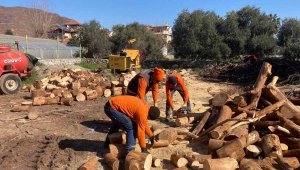 Marmaris'ten depremzedelere yakacak yardımı