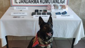 Nazilli'de fuhuş operasyonu