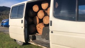 Ormanlık alandan aldığı ağaç parçalarını aracı ile taşırken yakalandı
