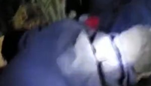 Sahil Güvelik Komutanlığı: "Vatandaşlarımızı tüm gayretimizle kurtarmaya devam ediyoruz"