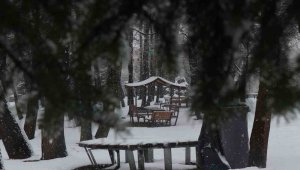 Sakarya'da kar yağışı etkili oluyor