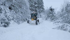 Samsun'da karla mücadele