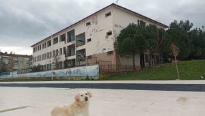 Samsun'da okul binaları güçlendiriliyor