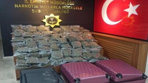 Şanlıurfa'da 59 kilo 650 gram skunk ele geçirildi: 5 gözaltı