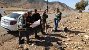 Siirt'te depremden etkilendiği değerlendirilen yaban hayvanlarının korunması için av yasağı başladı