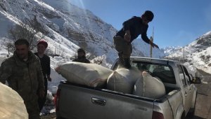 Şırnak'tan deprem bölgesine yem desteği