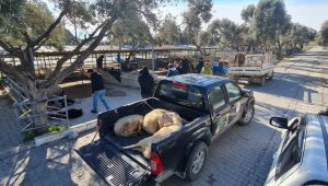 Söke'de deprem bölgesi için başlatılan hayvan bağışına yoğun ilgi