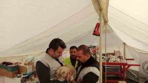 Tarım ve Orman Bakanlığı, deprem bölgesindeki can dostların yardımına koşuyor