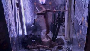 Tekirdağ'da uyuşturucu operasyonu