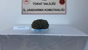 Tokat'ta 1 kilo 180 gram kubar esrar ele geçirildi