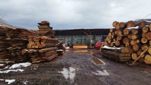 Tomruğun altında kalan adam hayatını kaybetti