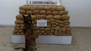 Van'da 486 kilogram toz esrar ele geçirildi