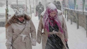 Van'da yoğun kar yağışı etkili oluyor