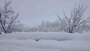 Varto'da 99 köy ve 50 mezranın yolu ulaşıma kapandı