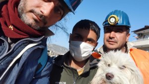 Zonguldaklı madenciler 203'üncü saatte Ponti'yi kurtardı