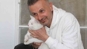 Depremde enkazdan kurtarılan kedi, mikroçip sayesinde sahibine teslim edildi