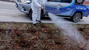 Elazığ'da ilaçlama çalışmaları sürüyor
