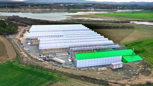 Elazığ'da jeotermal sera sahasının ilk etap çalışmaları tamamlandı