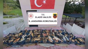 Elazığ'da kaçak balık avına 16 bin lira ceza