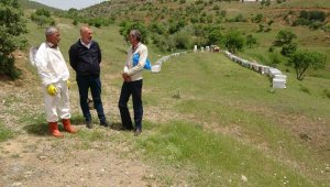 Elazığ Arı Yetiştiricileri Birliği Başkanı Canbay: "Ekolojik dengede en önemli unsur arıdır"