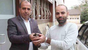 Elazığ'da vatandaşın bulduğu ebabil kuşu, koruma altına alındı