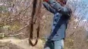 İçme suyu borusundan metrelerce ağaç kökü çıktı, görenler hayrete düştü
