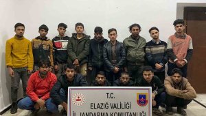 Elazığ'da 15 düzensiz göçmen yakalandı