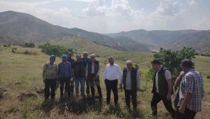 Palu'daki bademler yöre halkına gelir kapısı olacak