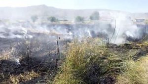 Elazığ'da 10 dönüm tarım arazisi yandı
