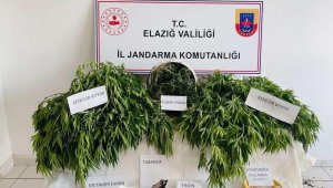 Elazığ'da uyuşturucu operasyonu: 3 gözaltı