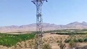 Elektrik direğinden çıkan kılvılcım 5 dönümlük bahçeyi kül etti