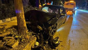 Elazığ'da otomobil ağaca çarptı: 1 yaralı