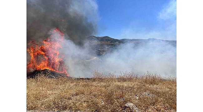 Sigara izmariti otluk alanı tutuşturdu
