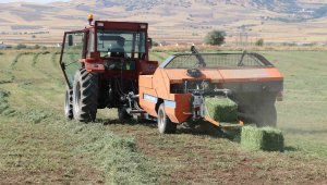 Elazığ'da balyalama mesaisi başladı